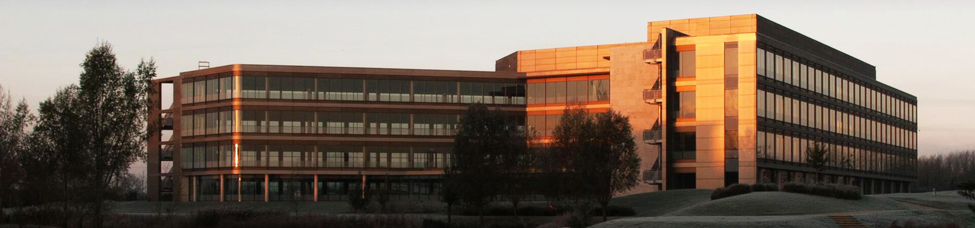Company Profile