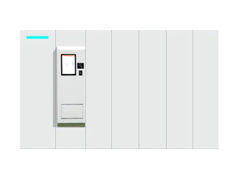 Mini Automatic Storage Room