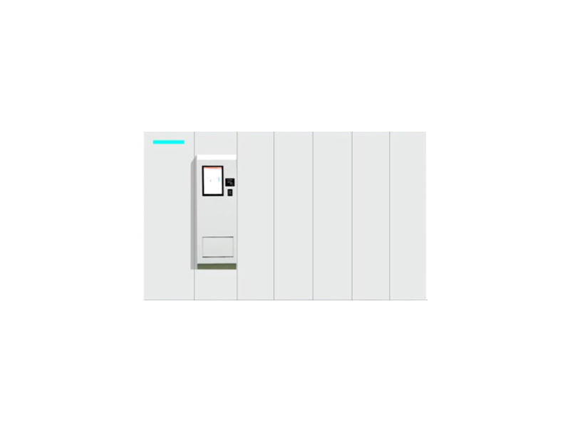 Mini Automatic Storage Room