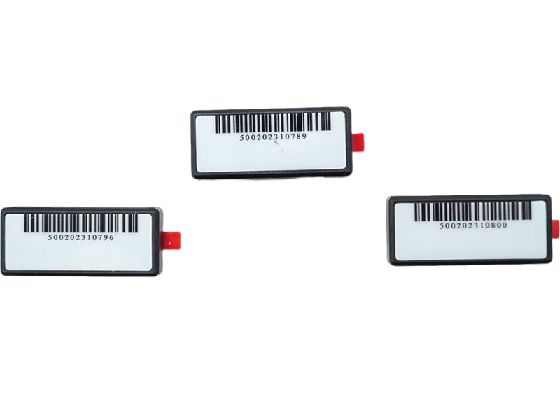 Assets Management